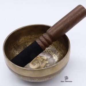 BC35 Bol Chantant Mantra Yeux de Bouddha – Image 3