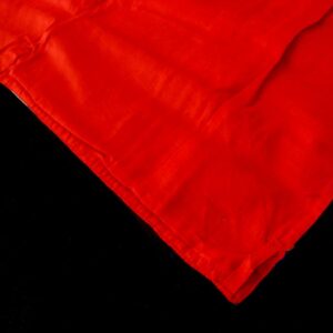 BB52 Bannière Tibétaine Dorje Signes Auspicieux du Bouddhisme – Image 8